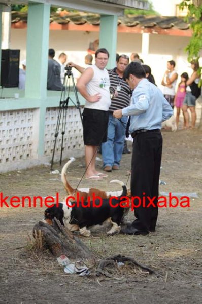 Clique sobre a foto para fechar